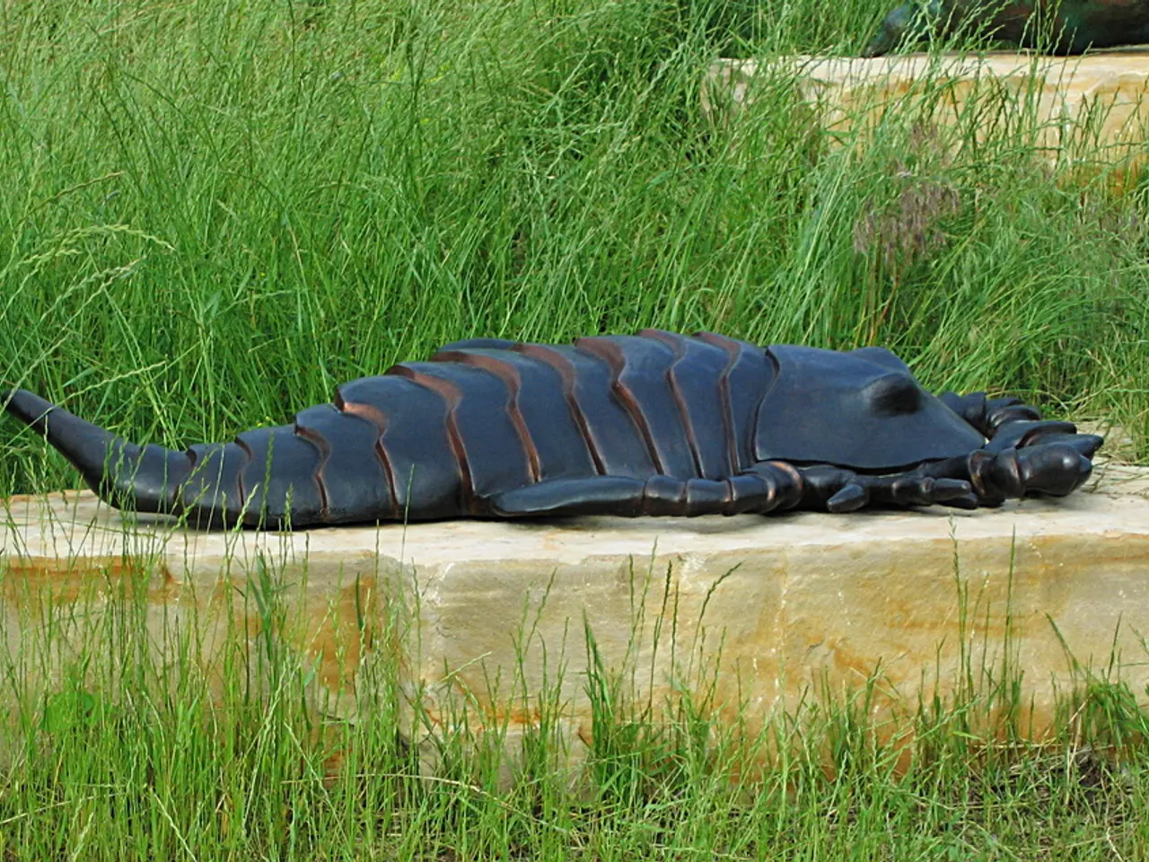 Universal Power Messages Conferred to Four Zodiac Signs on June 19, 2025