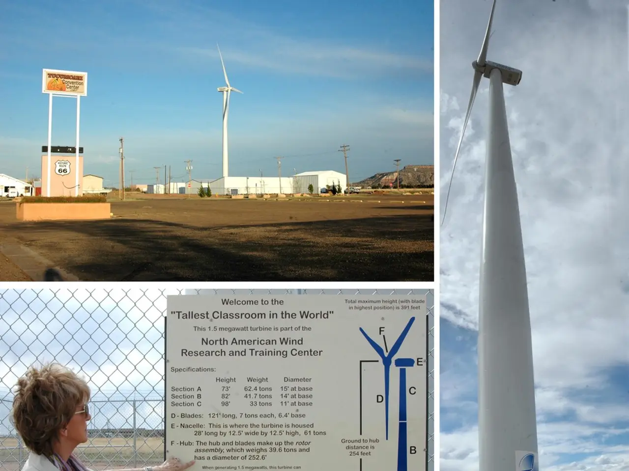 Energy and Personality Type Made Simple Through the 5 Elements: Uncovering the Ancient Connection