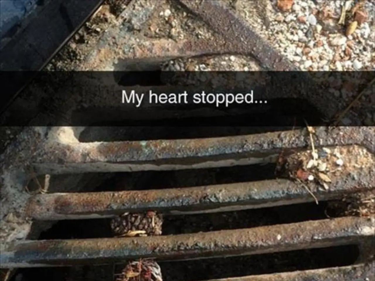 Guide for surviving the 60-day grace period after H-1B visa termination