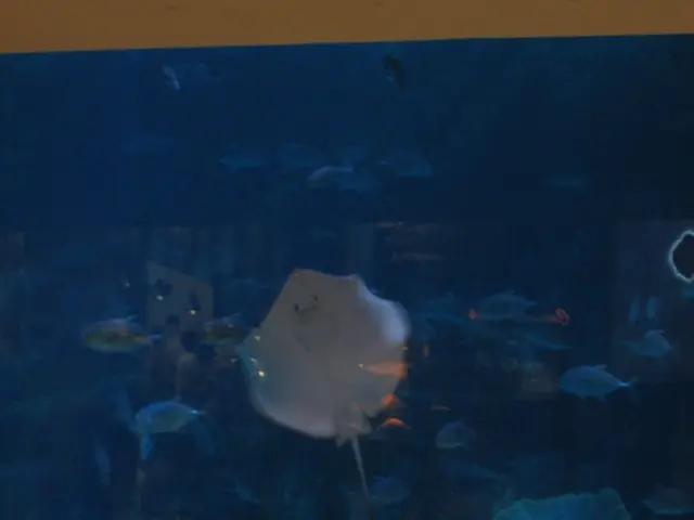 Investigate the top aquariums in the USA that are geographically accessible for a visit