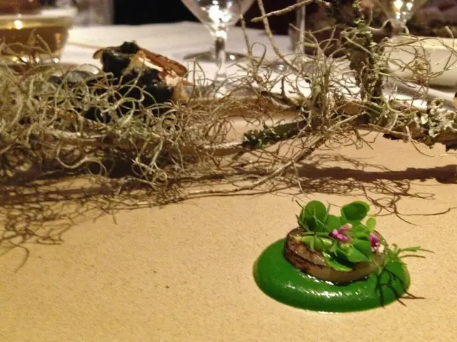 A Comprehensive Feast for Food Lovers: Discovering Portugal's Second City's Delicacies