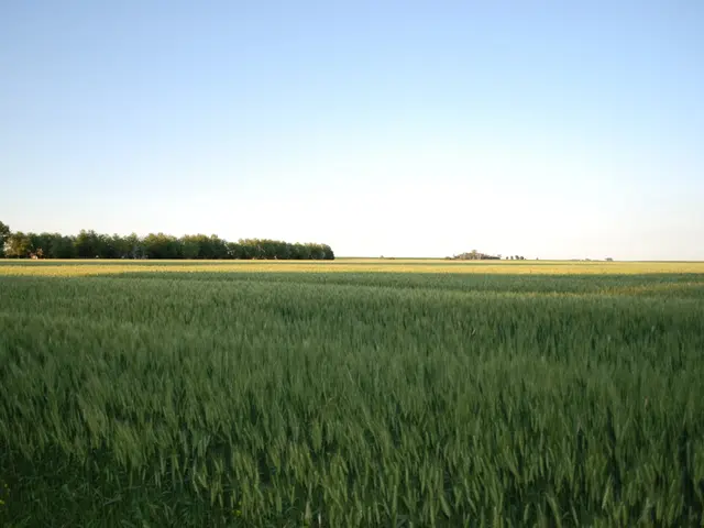 Explore the captivating Irish countryside through these 5 stunning scenic routes Ireland offers.