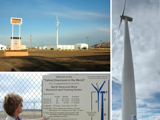 Energy and Personality Type Made Simple Through the 5 Elements: Uncovering the Ancient Connection