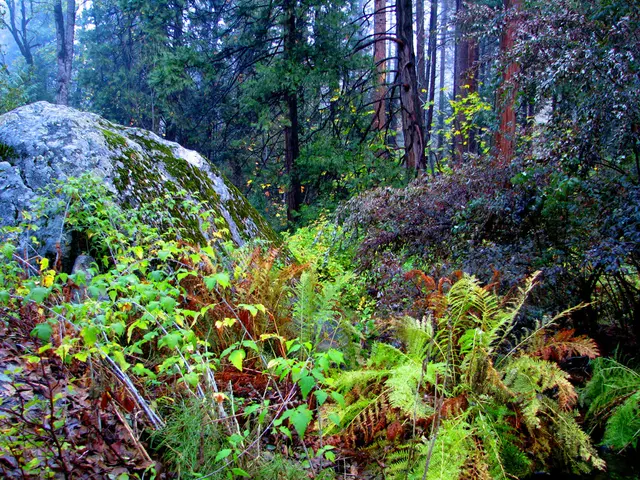 Hidden Gem in Kerala: Delving Deeper into Kakkayam Dam, an Unbeaten Path for Adventurers