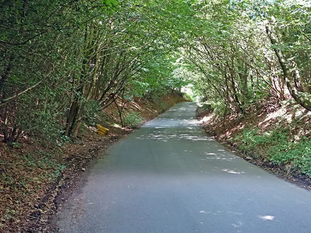 Picturesque Sluggish Journeys for Travel Aficionados Across Twenty Stunning Roadways