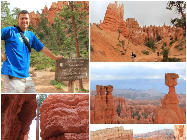 Unveiling the UK Ancestry Visa: Discovering the UK through Your Family Ties