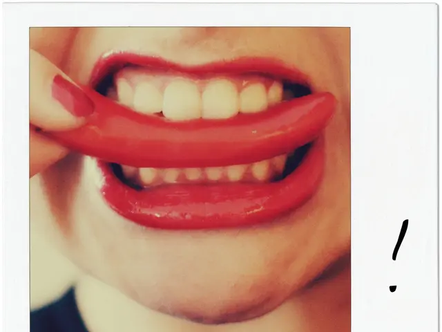 Top 11 Must-Try Food and Beverage Encounters in Miami That You Shouldn't Skip!