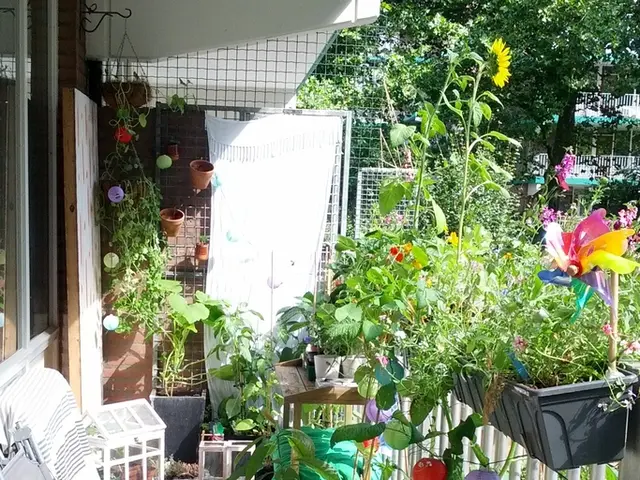 Coexisting Technological Advancements and Age-Old Living Customs