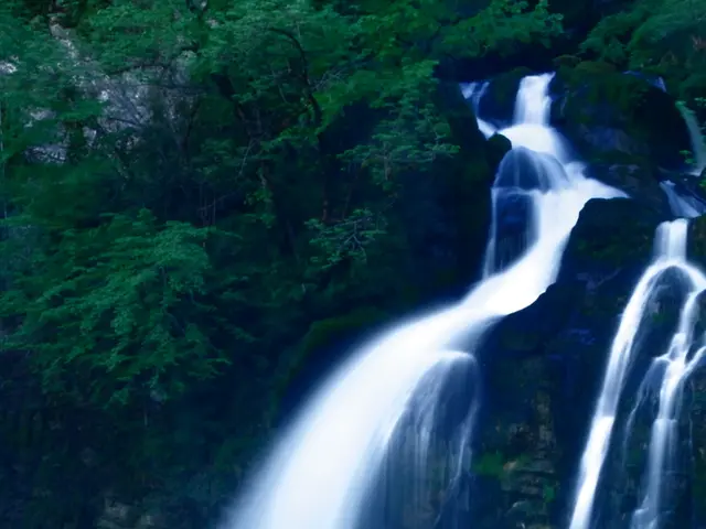 Tropical North Queensland lies home to stunning Cairns.
