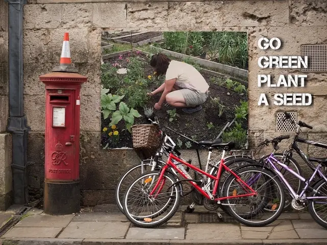 Guidance for Journeys: Essential Tips for Your Next Voyage