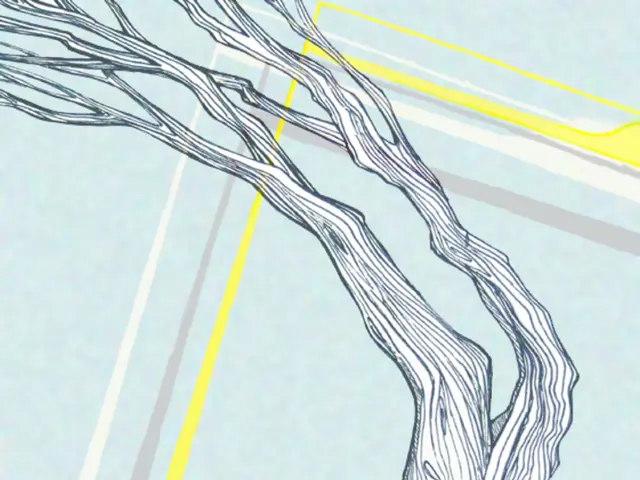 Unused item discovered in attic after decades