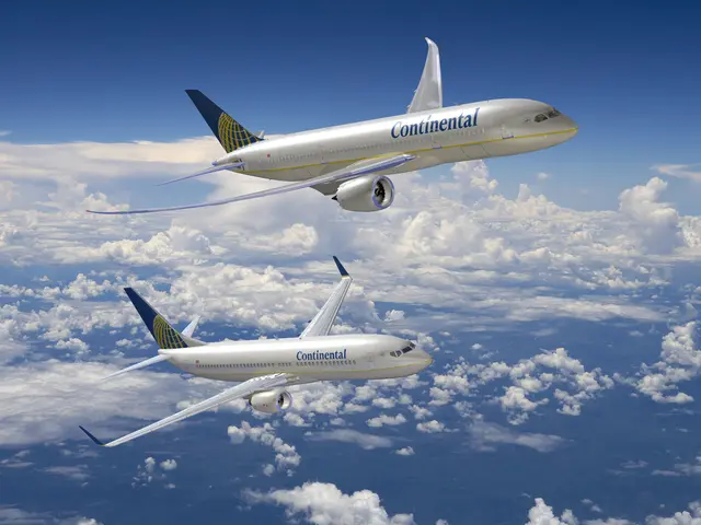 Ranking of Flight Reservation Systems to Optimize Time and Funds