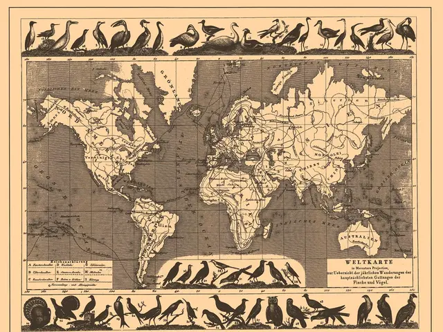 Privatized Air Travel Elevates National Geographic Expeditions to a Superior Level