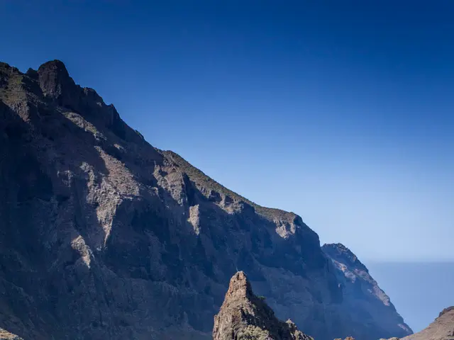 Budget consultations for the program also included the Commission.