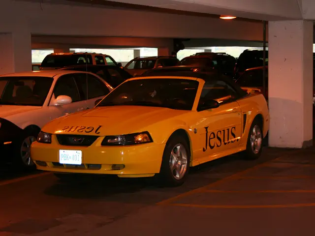 Preparation of Parking Spaces for Travemünder Week 2025