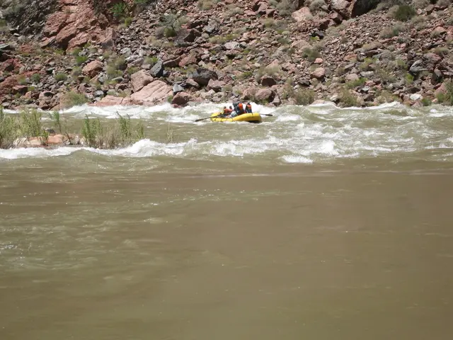 Dive and Conservation Festival to take place in Grenada for the 4th year