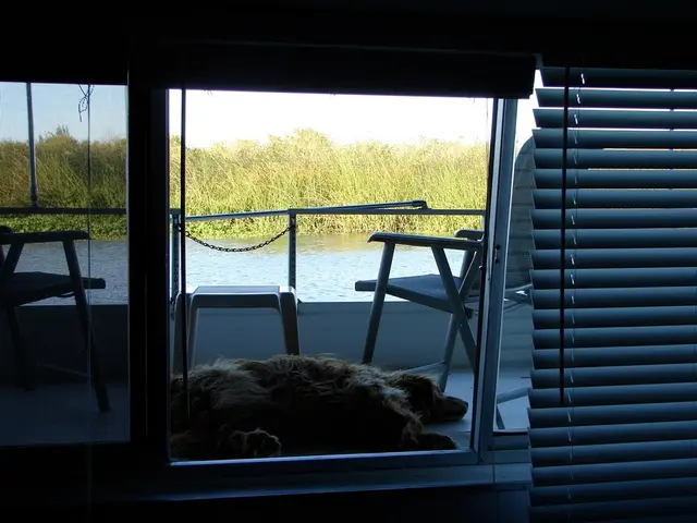 Dog Holiday Traveling Guidelines: Ensuring a Peaceful Getaway for Your Canine Companion