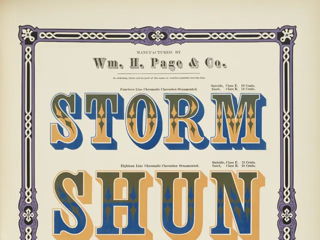 Essential Typography Guidelines for Graphic Design Professionals