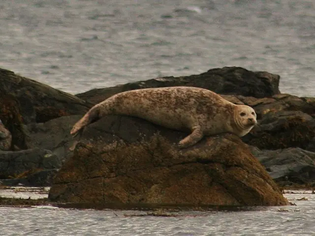 Investigating the Purity of Personal Water Wells and Addressing Pollution Concerns in Water...