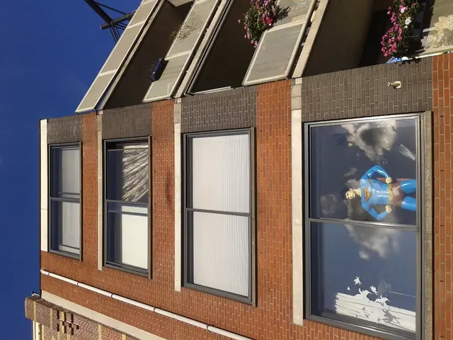 Top Nine Feng Shui-Friendly Houseplants to Enhance Your Living Space