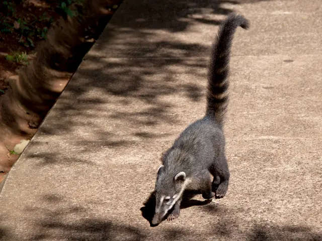 Loss of Taste and Smell in COVID-19: Significance for Diagnosis and Outcome Prediction