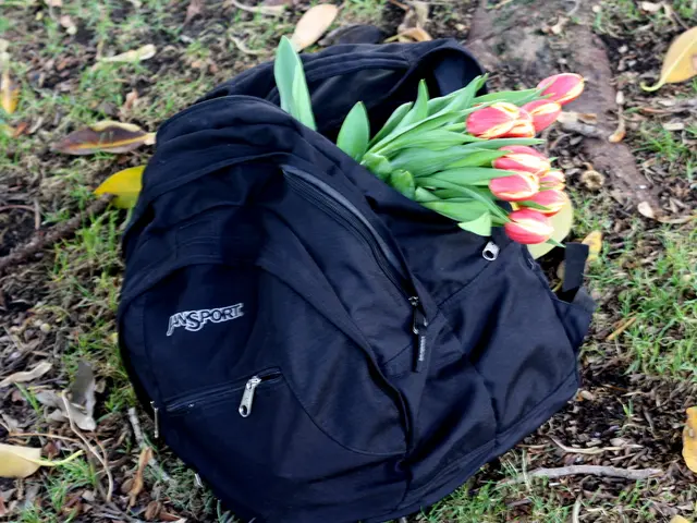 Top-Notch Garden Enrichers: Expert Recommended Lawn Fertilizers