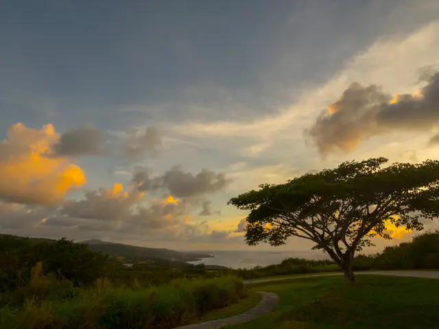 Exploring Day Excursions from Melbourne