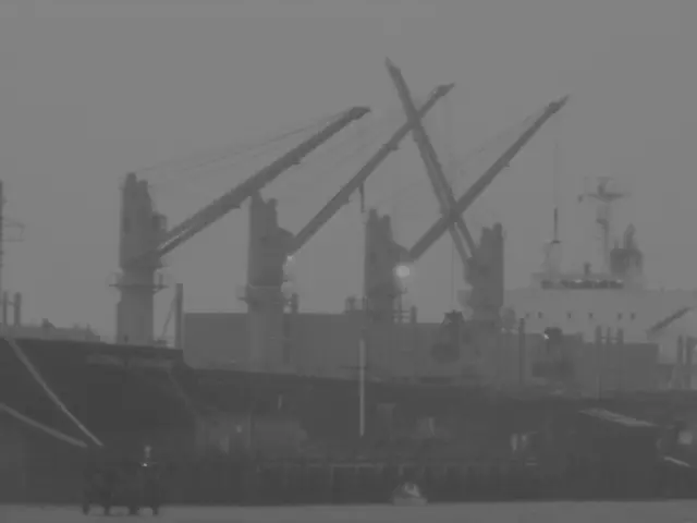 Disney's thrilling adventure is on display, courtesy of Ocean Giant