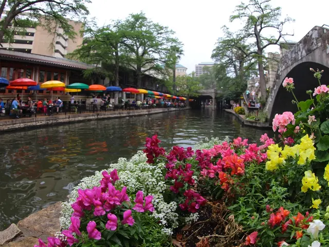 Capital building eyes newly proposed halal food marketplace