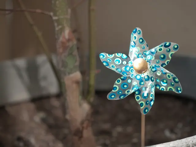 Achieving the Elegant and Graceful Windswept Look in Literati Bonsai Art