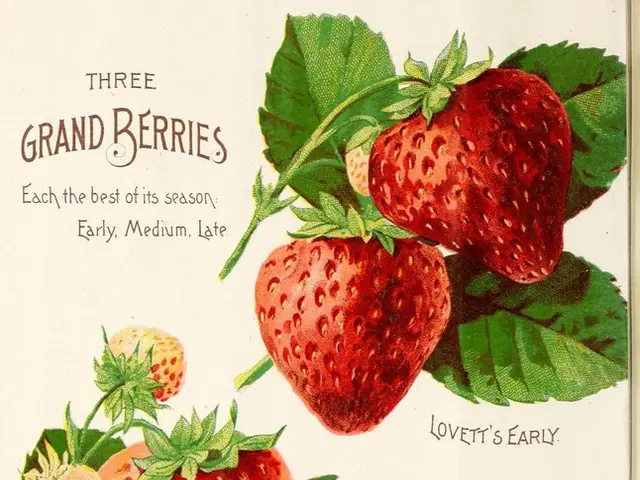 Engaging Audiobook Selections Perfect for Summer Listening!