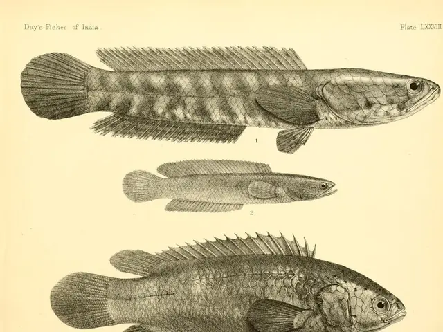 International Electricity Flow Updates (Post 5)