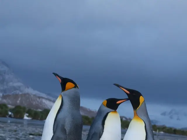 Explore the Best 10 Photography Locations This Summer Season