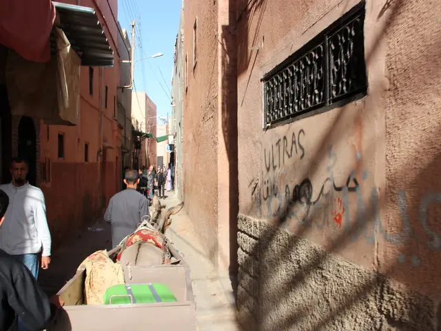 Oahu Witnesses Potential Night Marcher Encounter: Guidance on Response if You Hear Approaching...