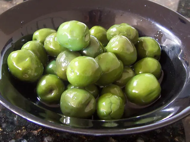Venerable Olive Tree in Crete Continues to Yield Fruits After Two Millennia