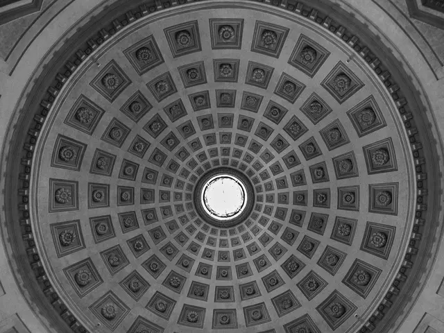 Exploring the idea of a green roof? Professionals share their essential advice for beginners,...