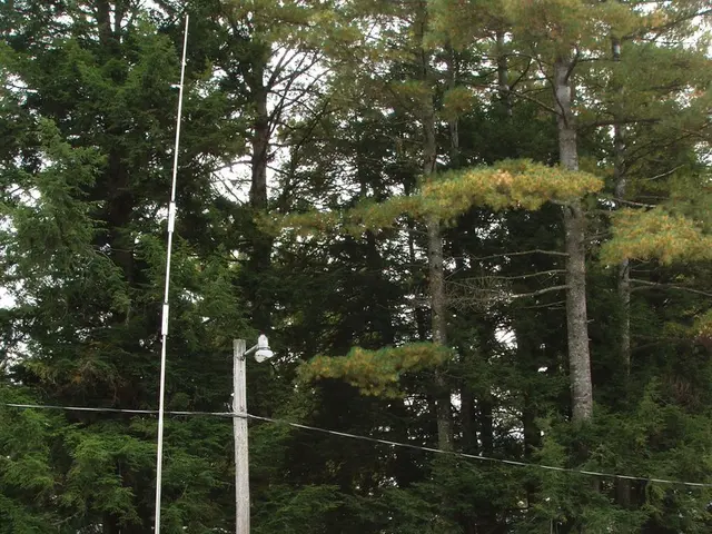 Guide Section: Exploring the Unplugged: A Tour of Off-Grid Locations