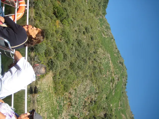 Annual Summer Repeat Vacation: A Three Decade Long Tradition without Remorse