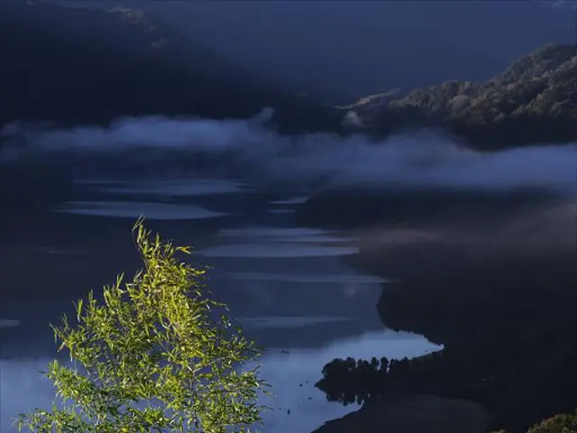 Unique freshwater body dubbed the "Caribbean of New York" is exceptionally scarce, with less than...