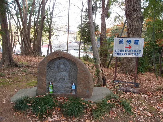 Travel Accessory Used in More Than 30 Nations So Far