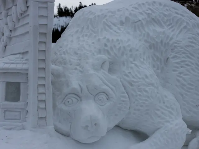 Aspen Art Week Witnesses Increase in Major Exhibitions and Serious Investors Contributing to a...