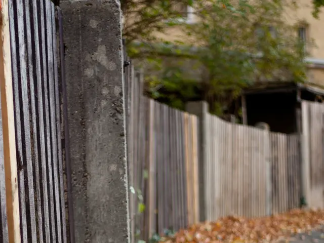 Techniques for Crafting Literati Bonsai: Aiming for Elegant Minimalism