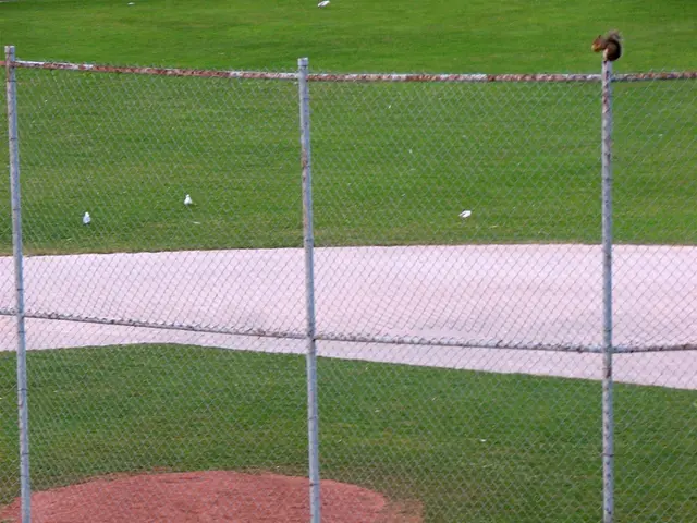 Top-rated squirrel-resistant bird feeders of the year 2025