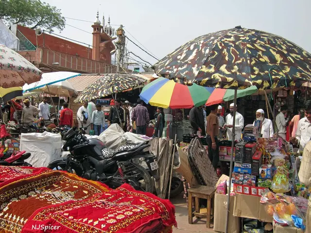 Detailed Overview of Bus Stations in Saudi Arabia's Northwest Region