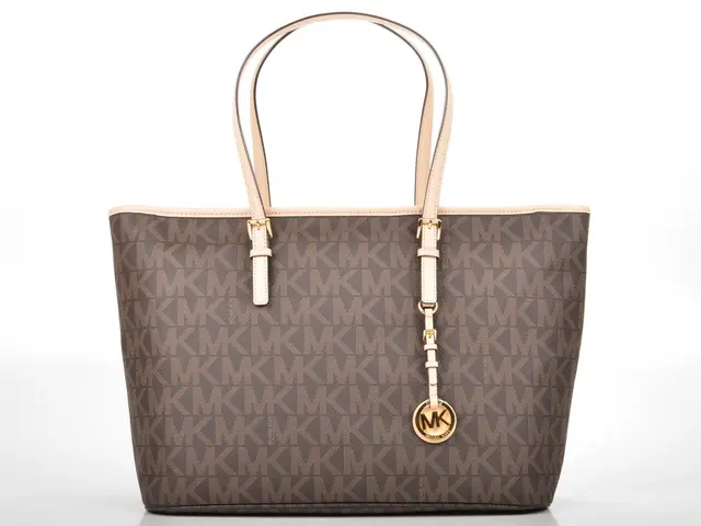 Airlines sue passengers over costly carry-on baggage exceeding weight limits