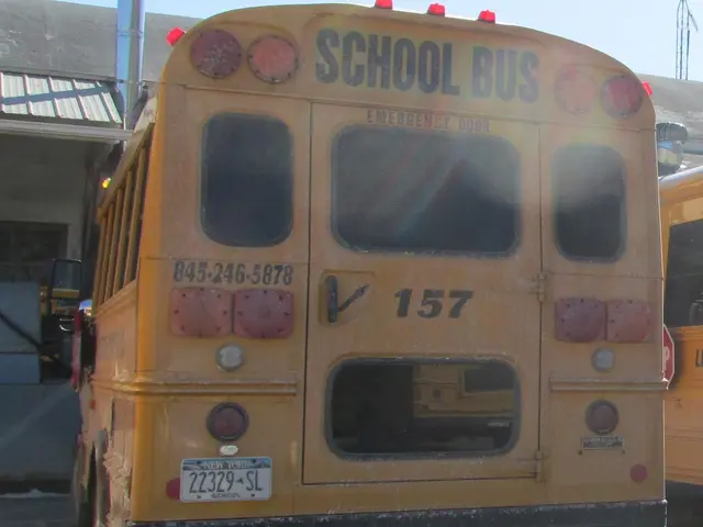 Bus service between Minsk and Vilnius significantly reduced or halted by major transportation...