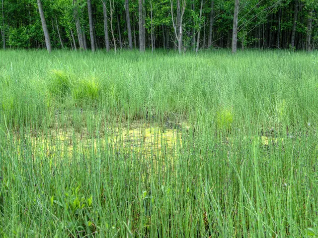 Farms visited in two consecutive days, culminating in a festive gathering!