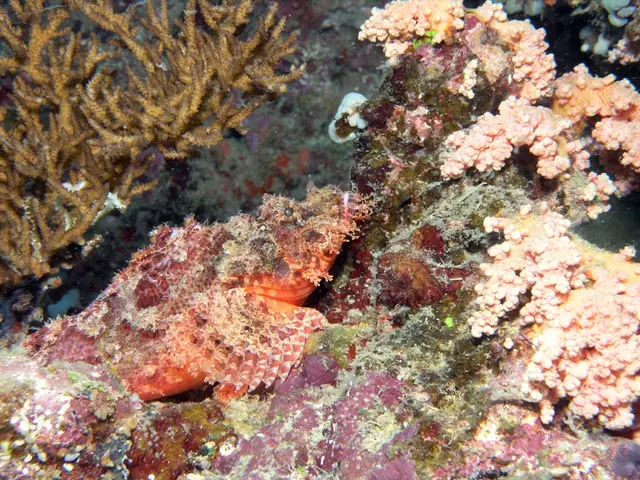 Nature's Abundance Awaits at the Seashore
