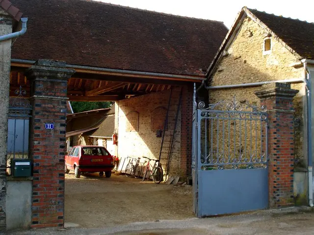 Chantal Morillon - Identified Individual in Focus