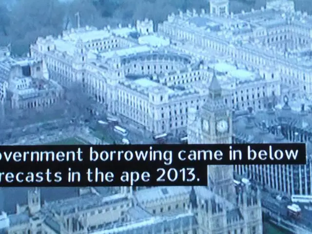 Annual Count of Non-Performing Loan Sites According to Their Status, Concluded at the Close of Each...